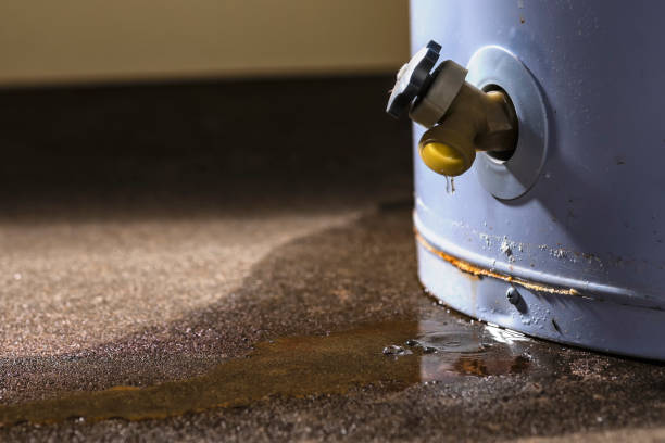 Best Local water damage restoration  in Stinnett, TX