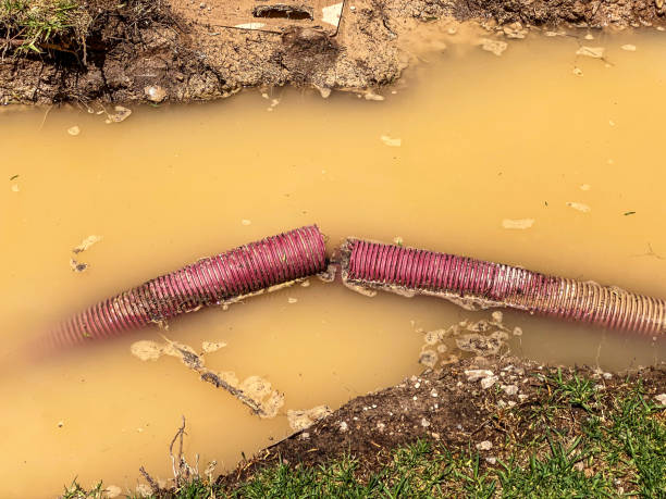 Water damage restoration insurance claims in Stinnett, TX
